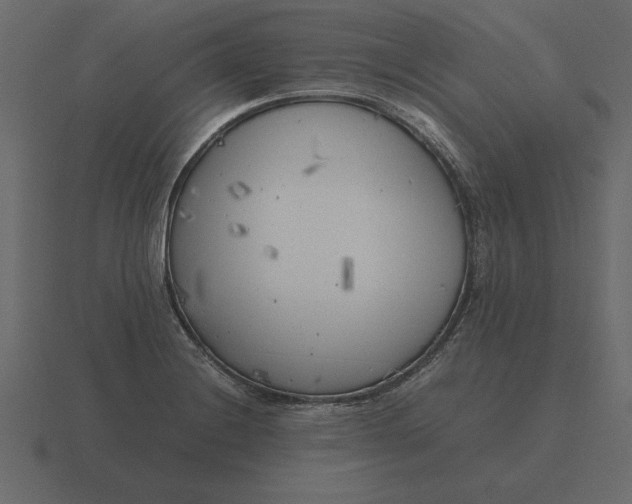 X0000116621228200912241746