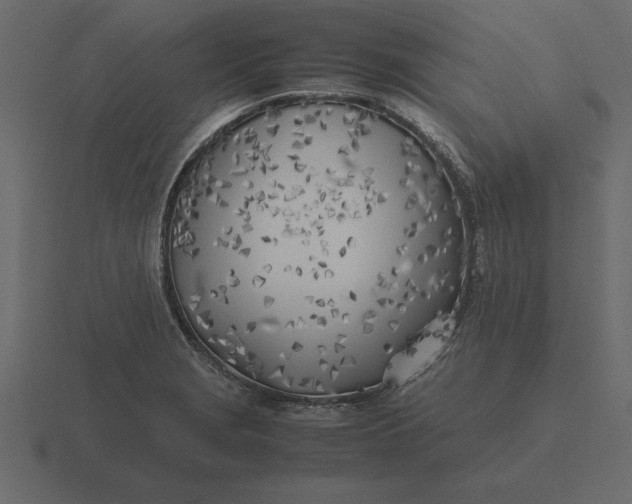 X0000116621229200912241746