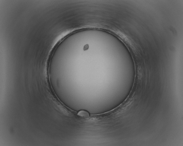 X0000116621230200912241746