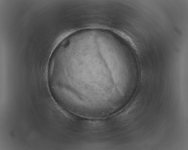 X0000116621231200912241746