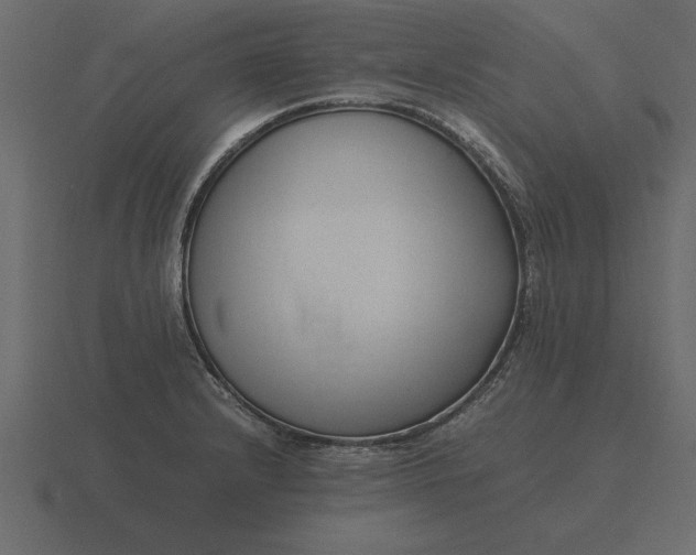 X0000116621232200912241746