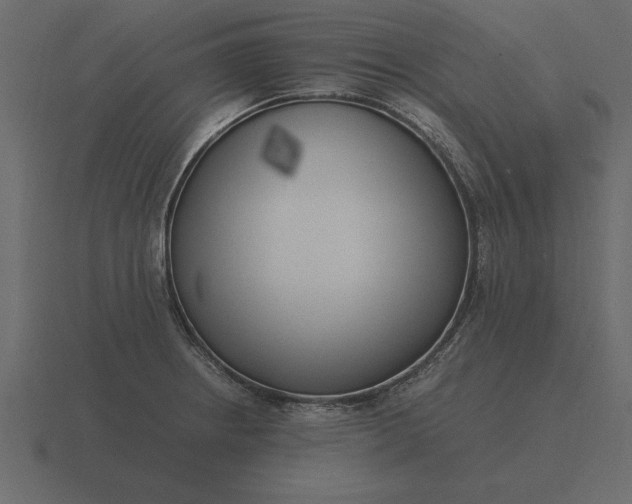 X0000116621234200912241746