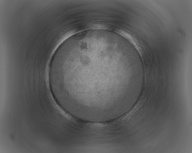 X0000116621235200912241746