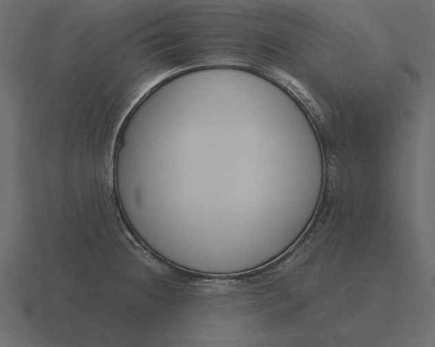 X0000116621236200912241746