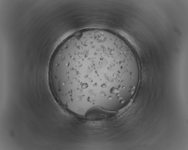 X0000116621237200912241746