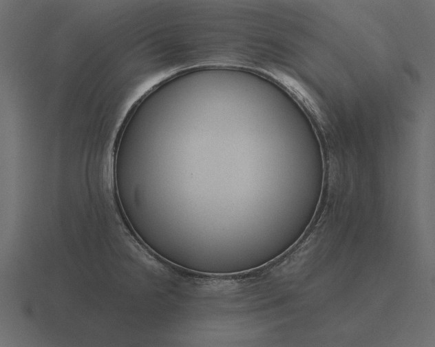 X0000116621238200912241746