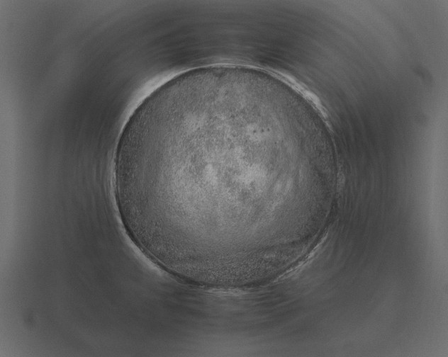 X0000116621239200912241746