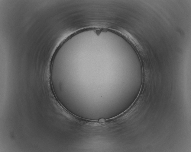 X0000116621240200912241746