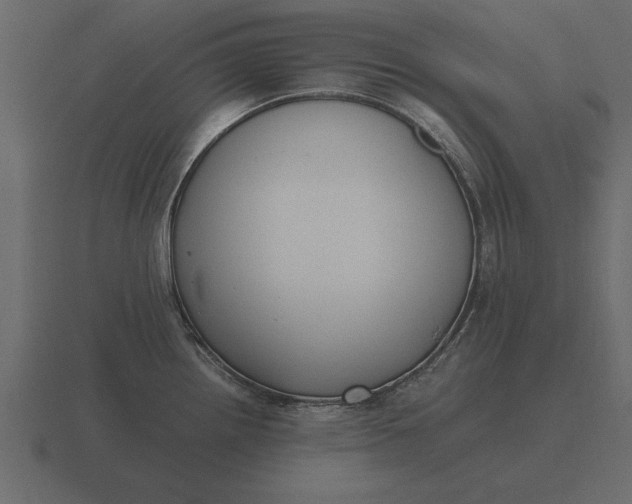 X0000116621242200912241746