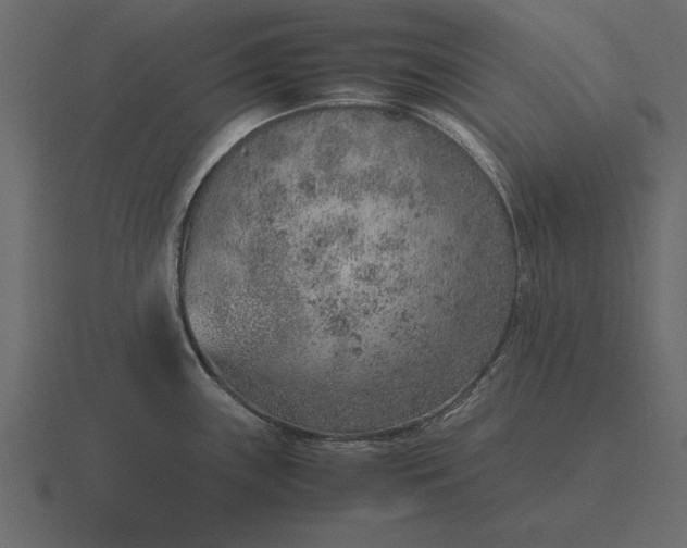 X0000116621243200912241746