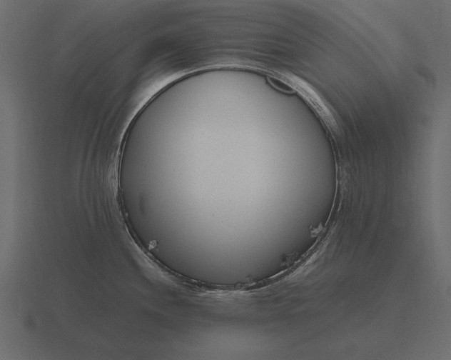 X0000116621244200912241746