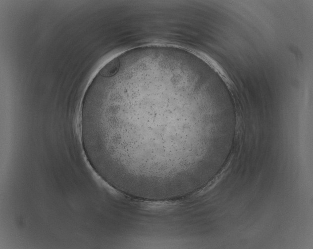 X0000116621247200912241746