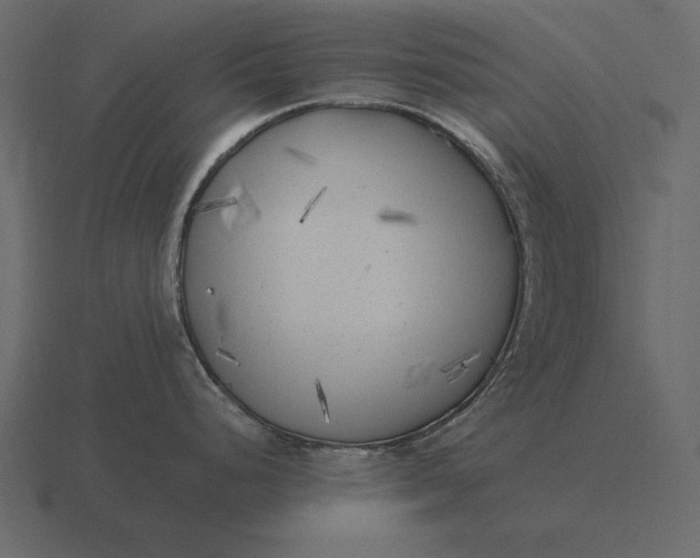 X0000116621248200912241746