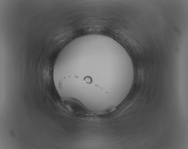 X0000116621250200912241746