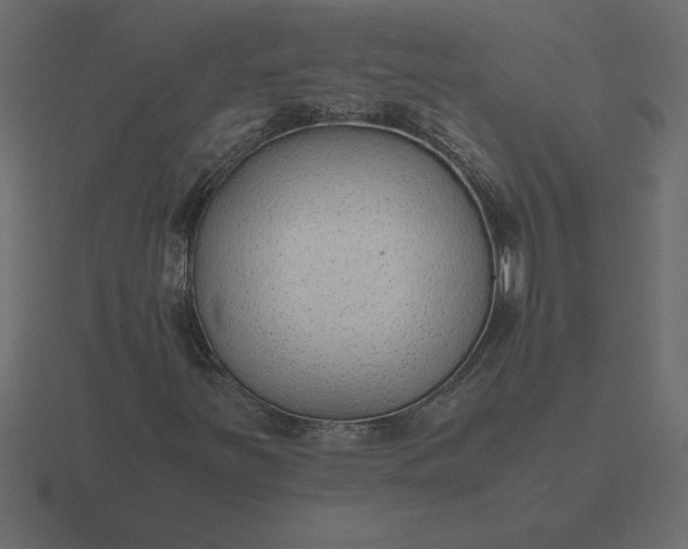 X0000116621251200912241746