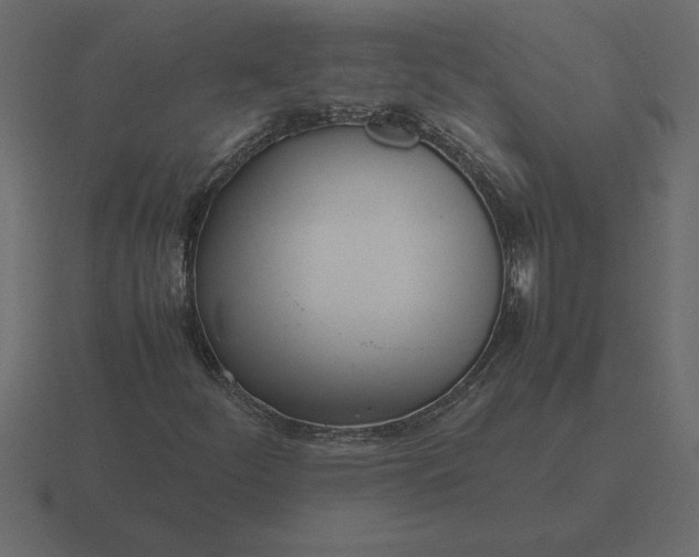 X0000116621252200912241746