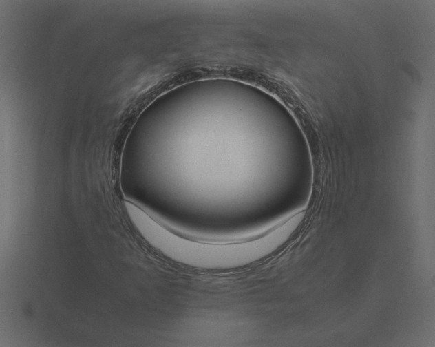 X0000116621253200912241746