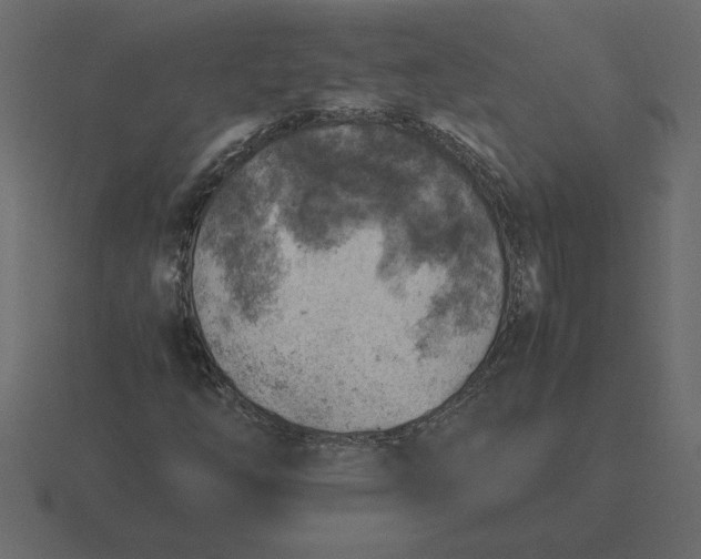 X0000116621254200912241746