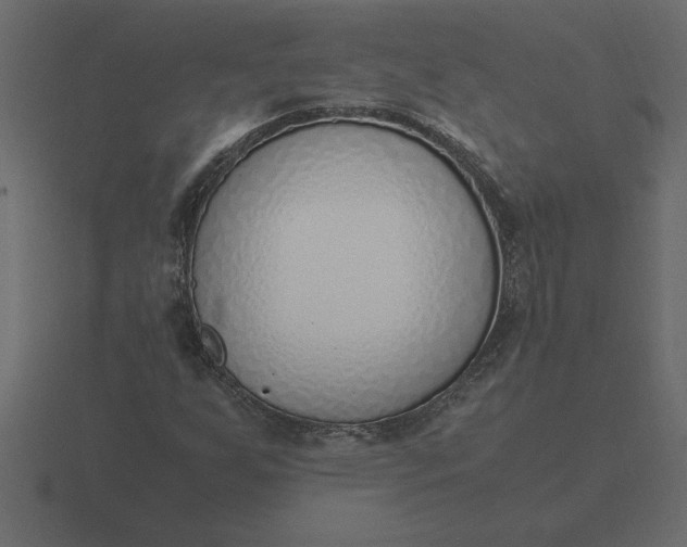 X0000116621255200912241746