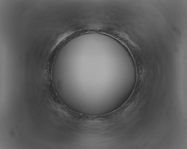 X0000116621256200912241746