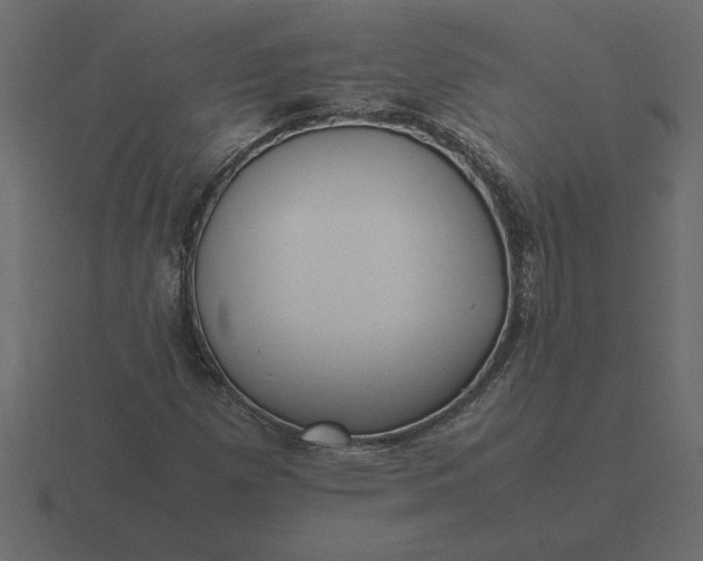 X0000116621257200912241746