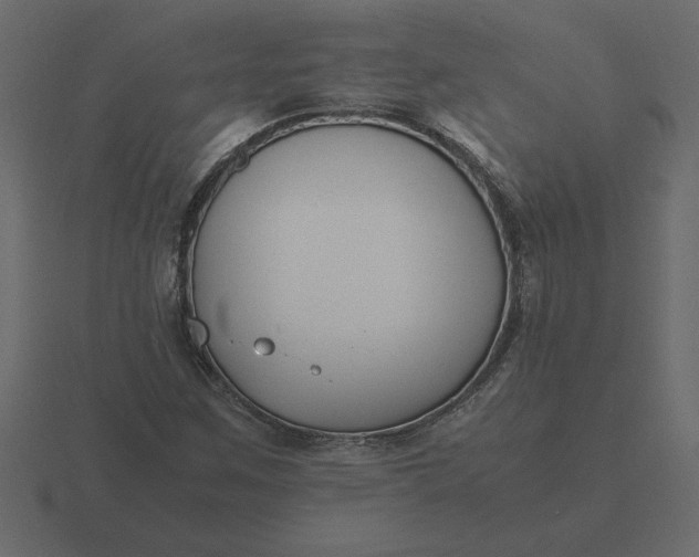 X0000116621259200912241746