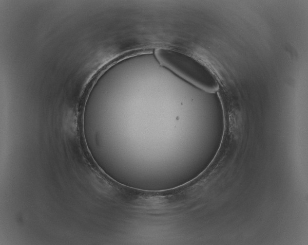 X0000116621260200912241746