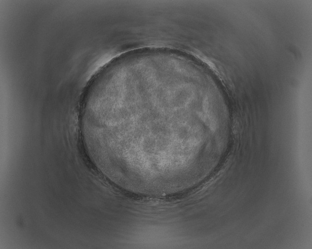 X0000116621263200912241746