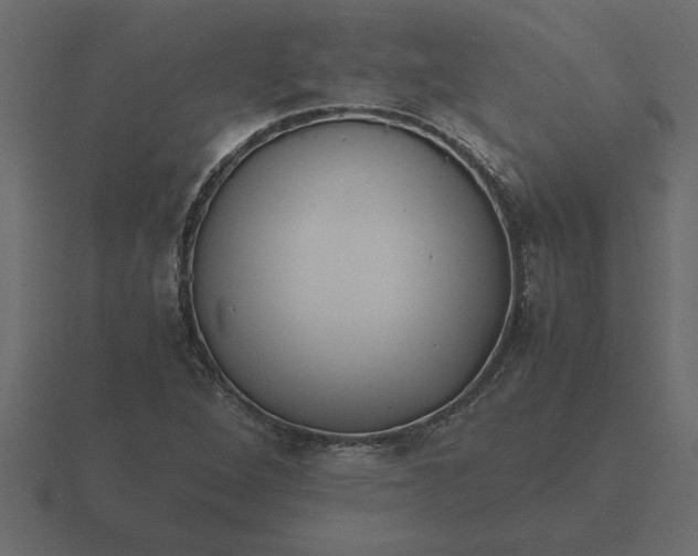 X0000116621264200912241746