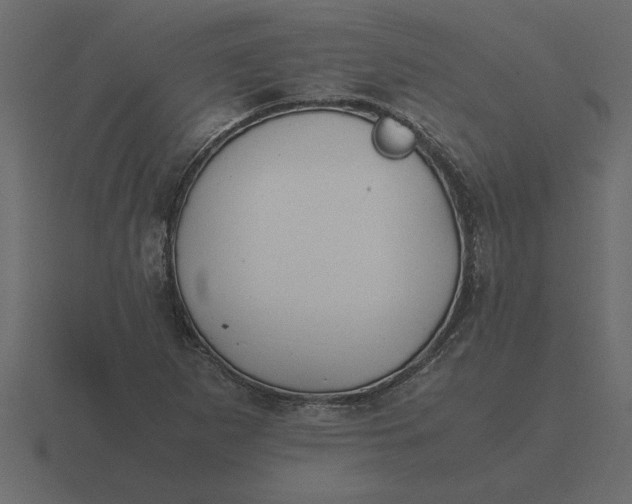 X0000116621265200912241746