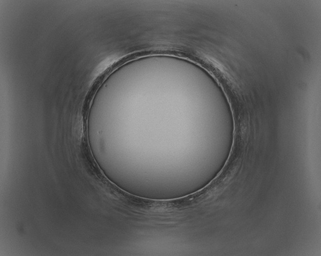 X0000116621267200912241746