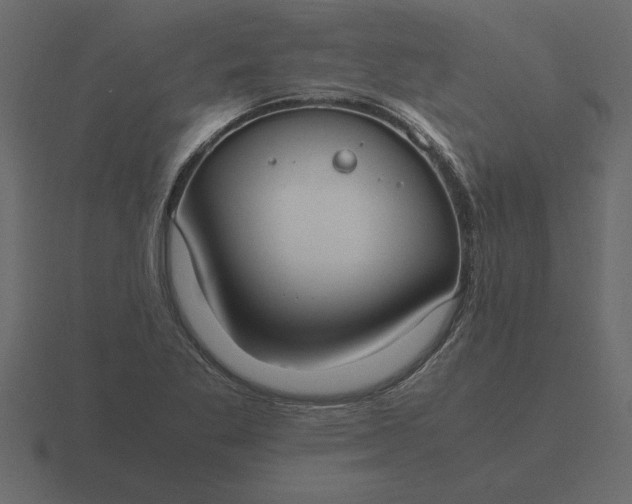 X0000116621269200912241746