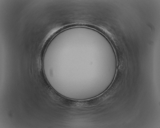 X0000116621271200912241746