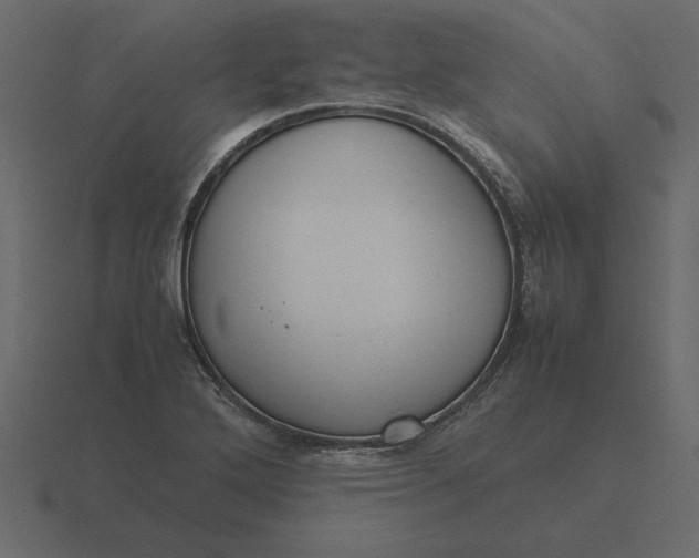 X0000116621272200912241746