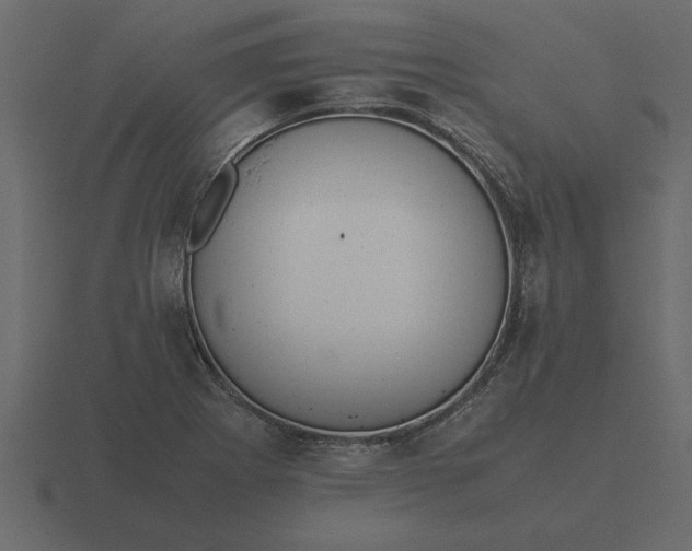 X0000116621273200912241746