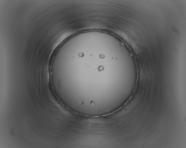 X0000116621274200912241746