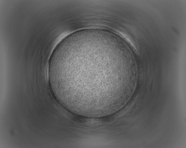 X0000116621275200912241746