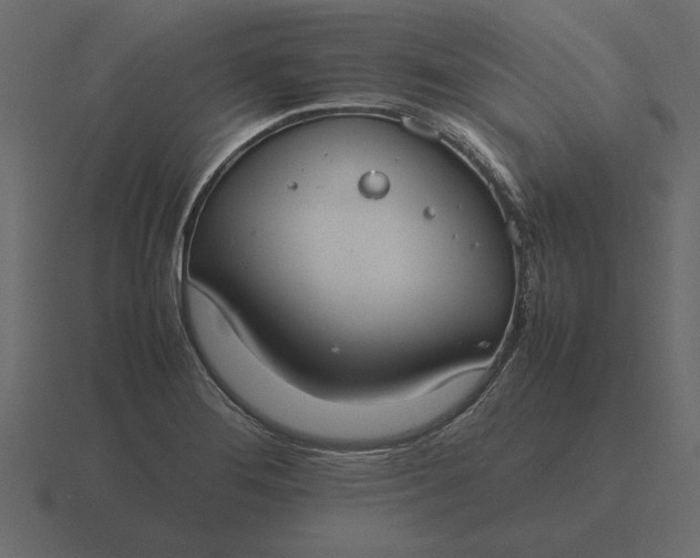 X0000116621276200912241745