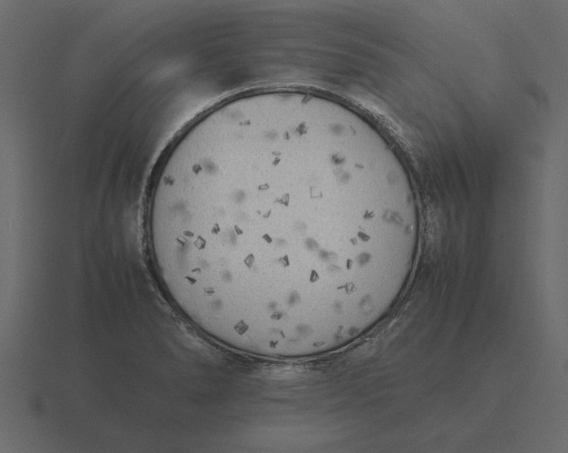 X0000116621278200912241745