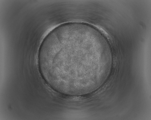 X0000116621279200912241745