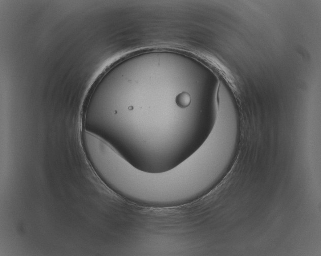 X0000116621280200912241745