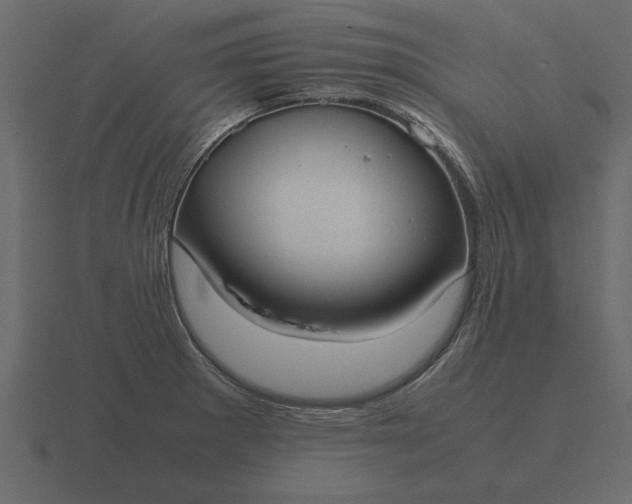 X0000116621281200912241745