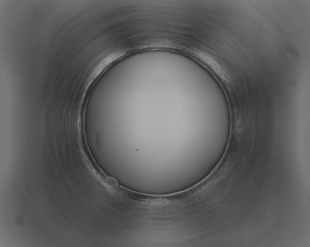 X0000116621282200912241745