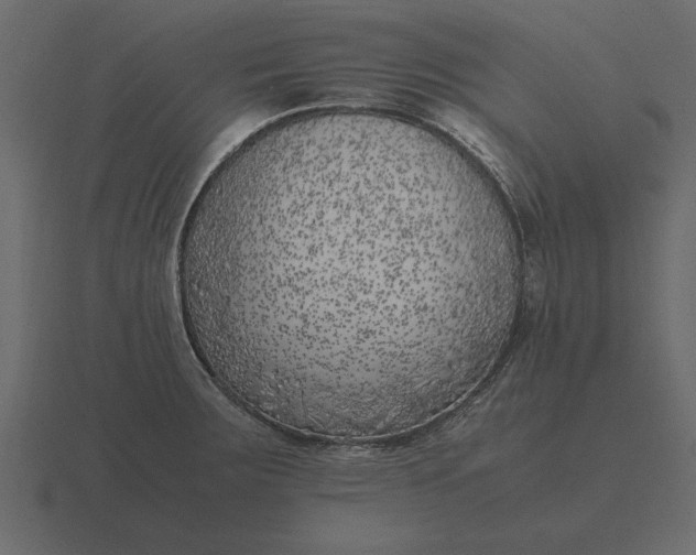 X0000116621283200912241745