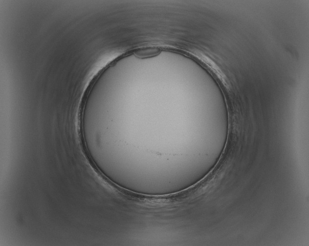 X0000116621285200912241745