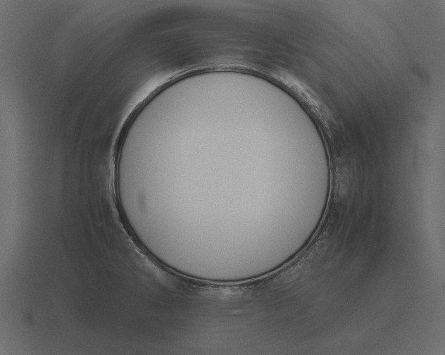 X0000116621286200912241745