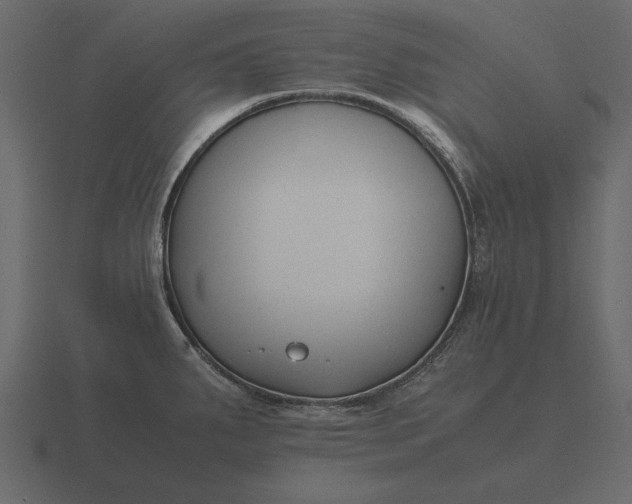 X0000116621287200912241745