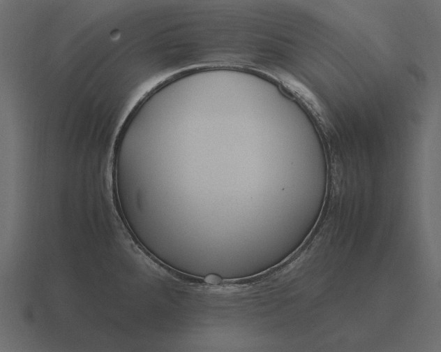 X0000116621288200912241745