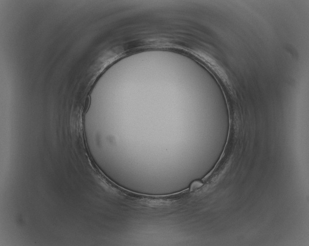 X0000116621289200912241745