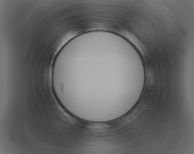 X0000116621290200912241745